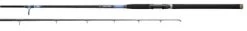 Daiwa Beefstick Surf Rods
