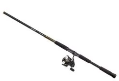 Daiwa BG Saltwater Spinning Combos