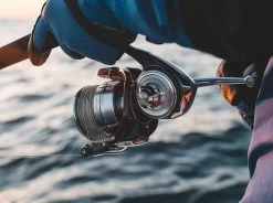 Daiwa Certate SW Spinning Reels -Fishing Pro Shop daiwa certate sw spinning reels 18073.1651409087