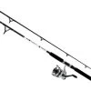 Daiwa D-Wave DWB Saltwater Spinning Combos 2 Daiwa D-Wave DWB Saltwater Spinning Combos -Fishing Pro Shop daiwa d wave dwb saltwater spinning combos 26363.1651075331.386.513
