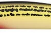 Daiwa Salt Pro Minnow - 5-1/8in Floating - SOS Yellow -Fishing Pro Shop daiwa dspm13f82 salt pro minnow 47630.1651247750.386.513