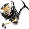 Daiwa Exceler LT Light & Tough Spinning Reels -Fishing Pro Shop daiwa exceler lt spinning reels 85807.1651075575.386.513