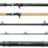 Daiwa Prorex Muskie Rods -Fishing Pro Shop daiwa prorex muskie rods 61837.1651267189