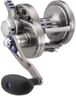 Fishing Pro Shop -Fishing Pro Shop daiwa saltiga ld lever drag conventional reels 63182.1651356964