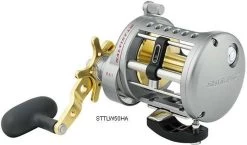 Daiwa Saltist Levelwind A Reels -Fishing Pro Shop daiwa saltist levelwind a reels 38721.1650807939