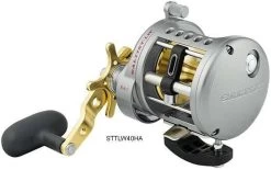 Daiwa Saltist Levelwind A Reels -Fishing Pro Shop daiwa saltist levelwind a reels 78666.1650807939