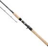 Daiwa Saltist Northeast Inshore Casting Rods -Fishing Pro Shop daiwa saltist northeast inshore casting rod 86297.1650807941.386.513